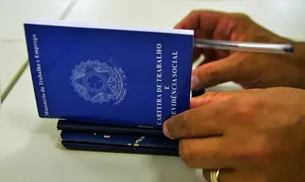 O estado de São Paulo foi o destaque com maior com 34.981 postos de trabalho.