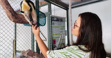 Imagem ilustrativa da notícia Seminário na Ufra discute proteção e manejo da fauna silvestre