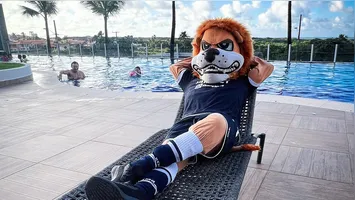 Enquanto a Copa não acaba, o Leão segue na expectativa para a sequência da temporada