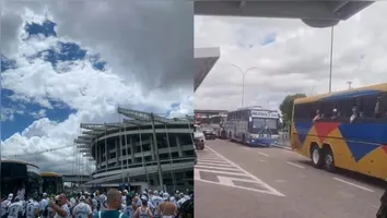 Imagem ilustrativa da notícia Remo x Palmeiras: palmeirenses chegam ao Mangueirão em grande número