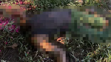 Cabeça foi encontrada ao lado do corpo da vítima