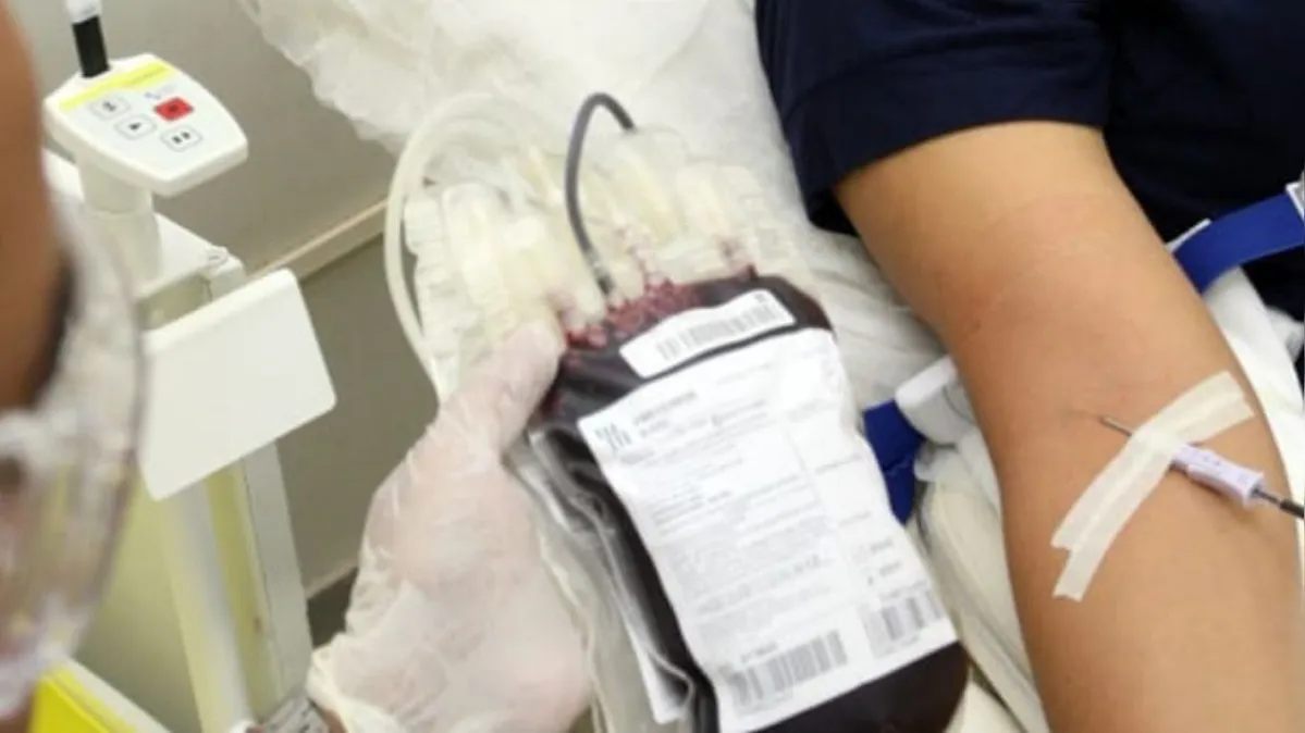 Imagem ilustrativa da notícia Cidades do sul do Pará fazem mutirões para incentivar doação de sangue