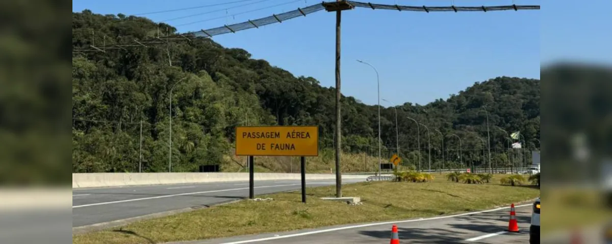 Uma  das travessia de fauna na Avenida Liberdade: estruturas criada para garantir o deslocamento seguro de animais silvestres entre áreas de vegetação.