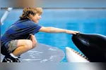 Free Willy conquistou o público ao contar a história da amizade de um garoto com uma orca
