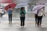 O ano de 2026 tem sido marcado por episódios recorrentes de chuvas fortes e transtornos na capital paraense.