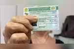 A economia se deve ao fato do curso teórico ser sem custos