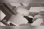 Os suspeitos invadiram a casa, amarraram e ameaçaram as vítimas de morte