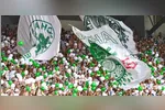 Torcida alviverde quer fazer a festa