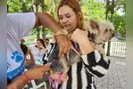 Prefeitura de Belém garante vacinação antirrábica, reduzindo os riscos de vírus no animal.