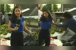Jéssica Aquino, repórter da TV Arapuan, é agredida ao vivo, gerando indignação e debate sobre a segurança dos jornalistas em coberturas externas.