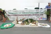 Secretaria de Estado da Agricultura Familiar abre vagas de emprego no Pará; veja salário e como se inscrever!