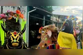 A história do Boi Marronzinho nasceu como um resgate e valorização da cultura do boi-bumbá.