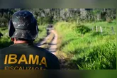 O Ibama está entre as muitas oportunidades na área ambiental