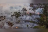 El Niño eleva risco de incêndios florestais no Pará, segundo o meteorologista José Raimundo de Abreu.
