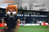 O Leão segue a reação no Brasileirão
