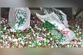 Torcida alviverde quer fazer a festa