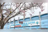 O Paysandu avança na recuperação judicial e antecipa 13º salário.