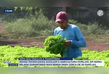 Imagem ilustrativa da notícia Hidroponia transforma vidas no novo episódio do DOLCast