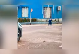 Momento em que abelhas atacam homem que estava em veículo. Ele tenta se proteger o máximo que pode.