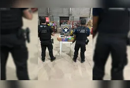 Munições de diferentes calibres vindas de São Paulo foram apreendidas durante fiscalização na BR-230, em Marabá.