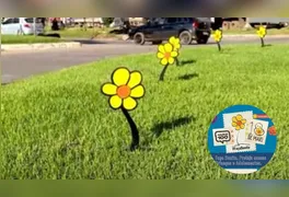 Ornamentação com símbolos do Maio Laranja na Avenida Xingu