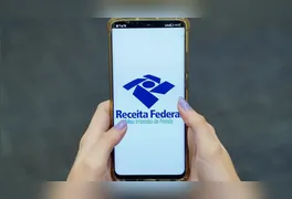 Recurso importa dados automaticamente e reduz o preenchimento manual; prazo para a entrega do documento termina nesta sexta-feira (29).