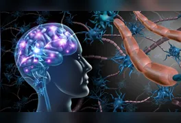 Muito além da digestão, o sistema digestivo possui uma rede neural própria que impacta diretamente o humor, a imunidade e a saúde mental.