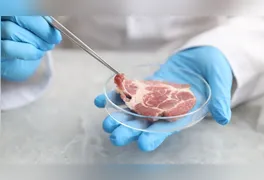 Técnica cultiva células animais sem necessidade de abate; protótipos de frango e salmão em 3D já são testados no país.
