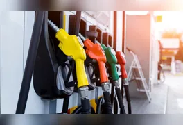 Ferramenta permite consultar nota de qualidade, histórico de fiscalizações e fazer denúncias. Consumidores também podem verificar a distribuidora de origem.