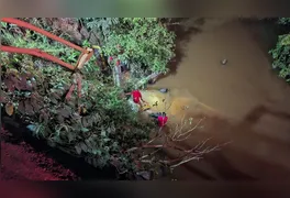 Carro caiu em riacho após ser fechado por caminhão; motorista morreu afogado e passageiro sobreviveu.