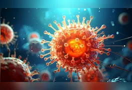 Pesquisa da Universidade La Trobe indica que reservas celulares ativam o sistema imunológico contra infecções.