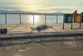 Kayo dos Santos Tocantins, de 24 anos, foi atingido por disparo de arma de fogo; Polícia Civil investiga o caso.