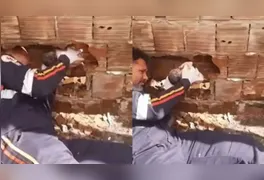 Vizinhos ouviram o choro da criança e acionaram o socorro; recém-nascido foi estabilizado e transferido de helicóptero para João Pessoa.