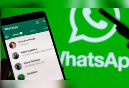 O bot "Tá Certo Isso Aí?" permite checagem em tempo real de textos, áudios e vídeos