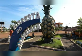 O Festival do Abacaxi de Floresta do Araguaia, um dos eventos culturais mais tradicionais do sul do Pará