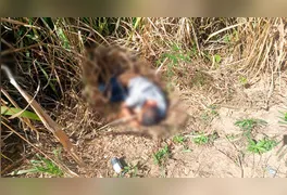 Equipes das polícias Militar e Civil isolaram o trecho conhecido como "Curva do S", logo após a Agrovila do Cuca, para realizar os procedimentos de investigação.