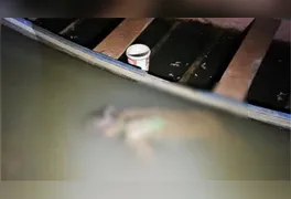 Trecho do Rio Itacaiúnas onde o corpo de Darlan da Penha Nunes foi encontrado por moradores da região.