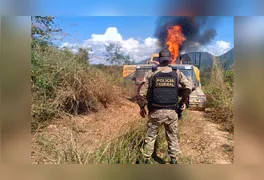 Acampamentos e centros logísticos improvisados no meio da floresta amazônica foram queimados para impedir o retorno das atividades ilegais na região.