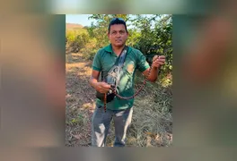 Agente devolvendo serpente ao seu habitat natural