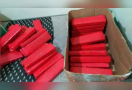 Os entorpecentes apreendidos pelo 34º BPM, avaliados em cerca de R$ 1,3 milhão, expostos após o cerco policial na noite de ontem.