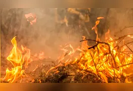 Fumaça provocada por queimada em terreno baldio prejudica a qualidade do ar e a saúde dos moradores em Xinguara.