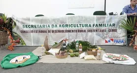 Secretaria de Estado da Agricultura Familiar abre vagas de emprego no Pará; veja salário e como se inscrever!