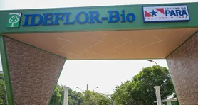 Instituto de Desenvolvimento Florestal e da Biodiversidade