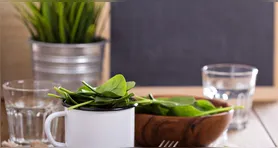 Plantas aromáticas são cada vez mais em cozinhas