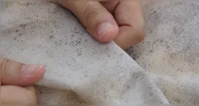 Umidade e falta de ventilação favorecem o aparecimento de bolor em roupas guardadas por longos períodos.