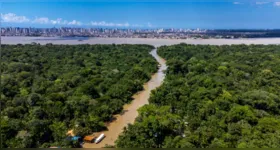Setor impulsionado pela floresta, inovação e saberes tradicionais consolida o Pará como referência em desenvolvimento sustentável na Amazônia.