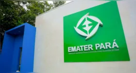 Inscrições para os processos seletivos da EMATER-PA começam nesta segunda-feira (8) e seguem até terça (9).