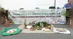 Secretaria de Estado da Agricultura Familiar abre vagas de emprego no Pará; veja salário e como se inscrever!