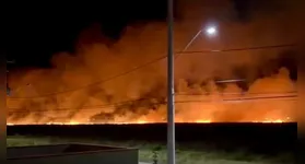 Incêndio de grandes proporções atinge vegetação em Xangri-Lá, RS; veja detalhes.