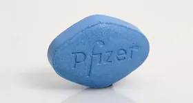 No processo de migração do câncer pelo organismo, o sildenafil, princípio ativo do Viagra, atua como uma armadilha para células tumorais.